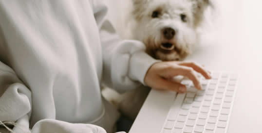 Jornadas pedagógicas