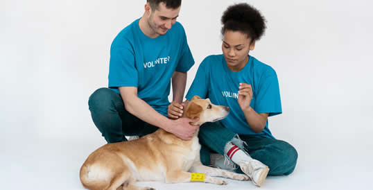 Programa de Voluntariado